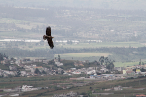 Ecuador-25-3