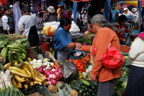 Ecuador-8-25