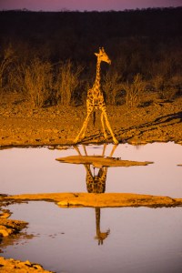 20160919-_i3a6163v1v1-edit-2