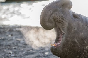 20161028-_g6t3714v1v1-editv1v1-editv1v1-editv1v1-edit