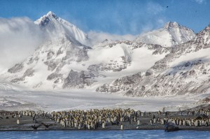 20161028-_i3a9063-2v1v1-edit