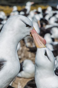 20161103-_i3a0102v1v1-edit